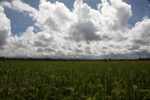 SCENERY mountain`SN 57